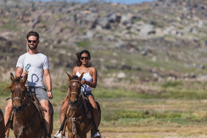 private tours aruba horseback riding eco tours 7