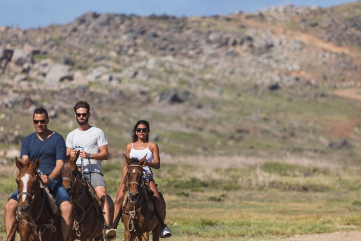private tours aruba horseback riding eco tours 6