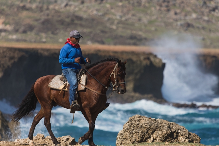 La ponderosa Horseback riding Eco Tours Aruba 10