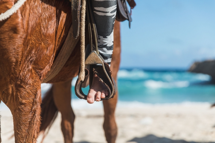 private horseback riding eco tours la ponderosa aruba 1 2