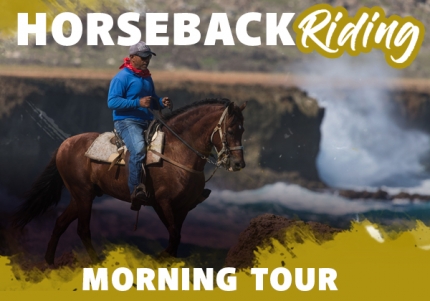 horseback riding morning tour