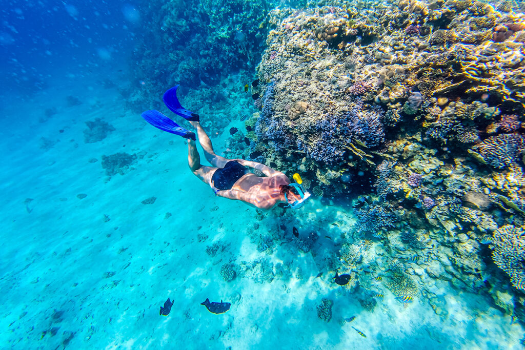 kayak snorkeling mangel halto