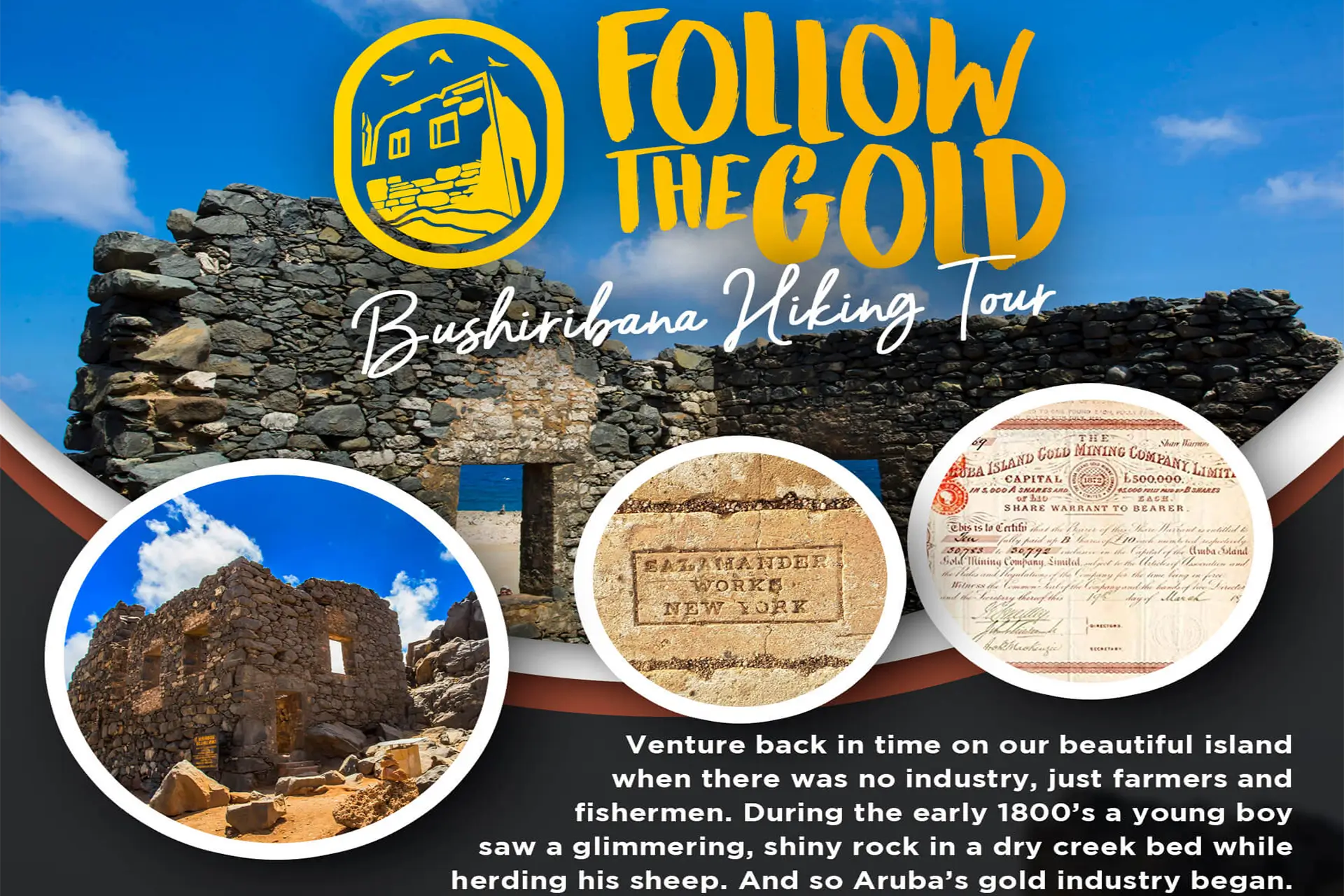 follow-the-gold