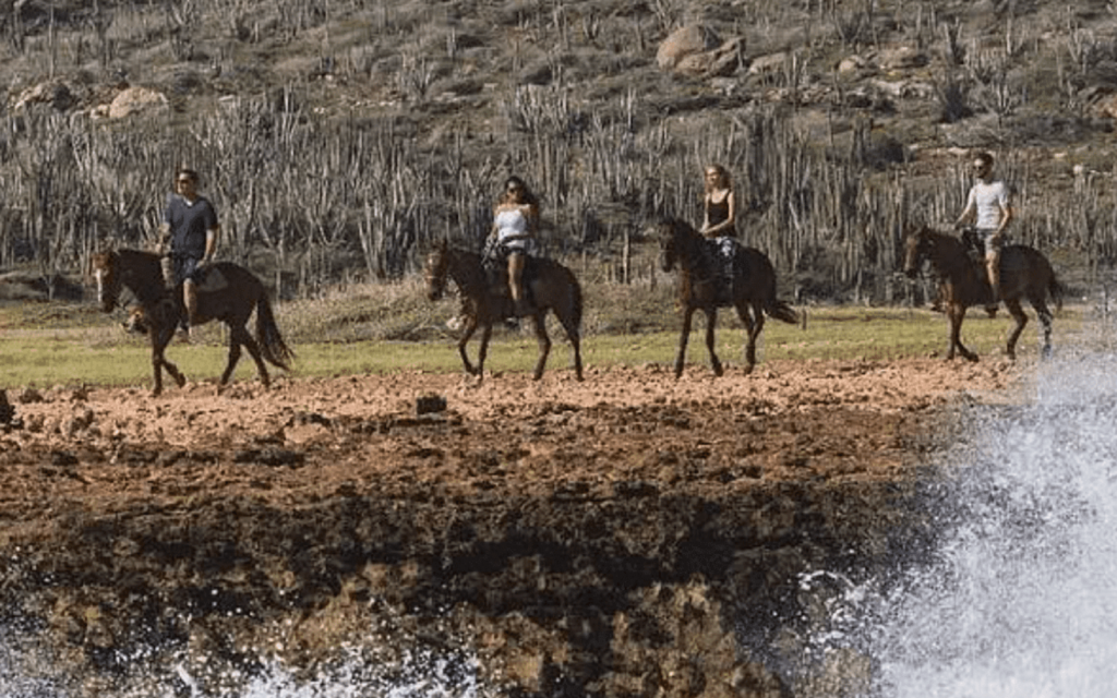 Horse Back riding at wariruri beach group tour