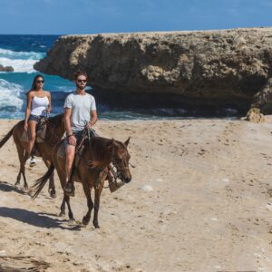 Private morning horse tour