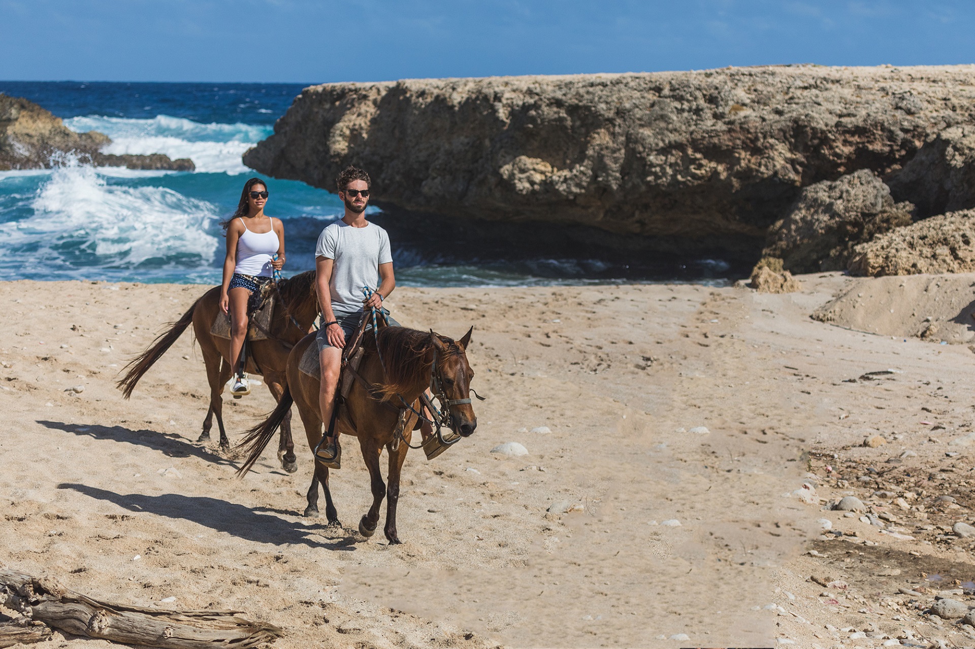 Private morning horse tour