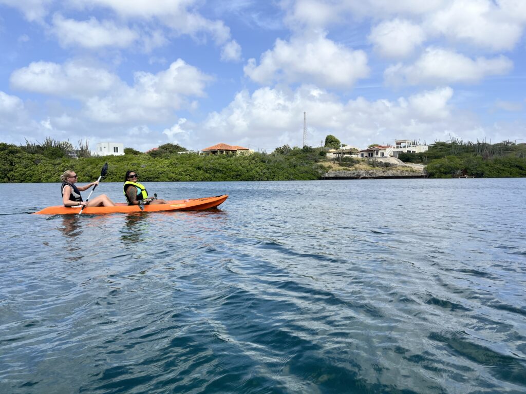 A group of kayakers paddling through calm waters surrounded by lush greenery and blue skies in Aruba.