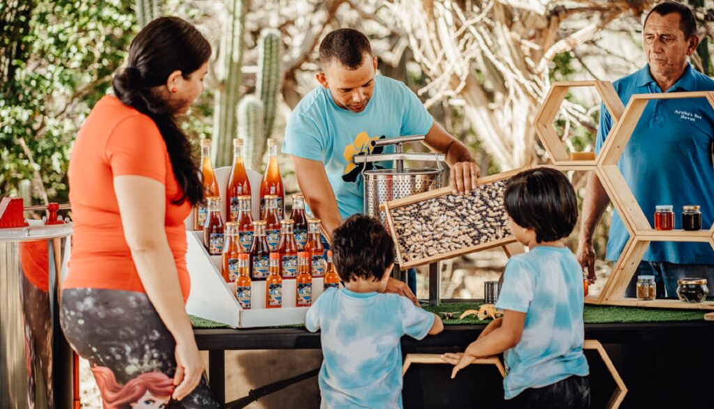 Aruba Bee Haven Tour
