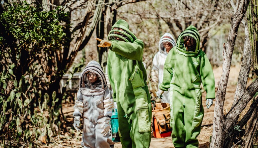 Fresh Honey from Aruba