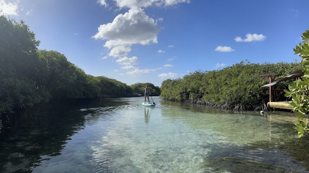 private day tour on Reef Island
