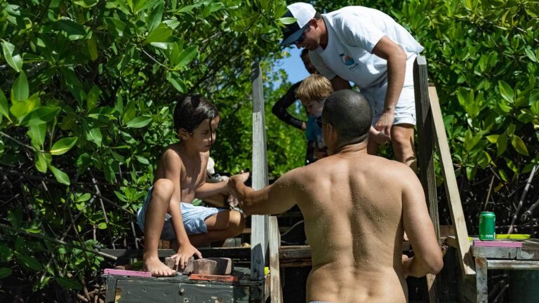 reef island morning tour