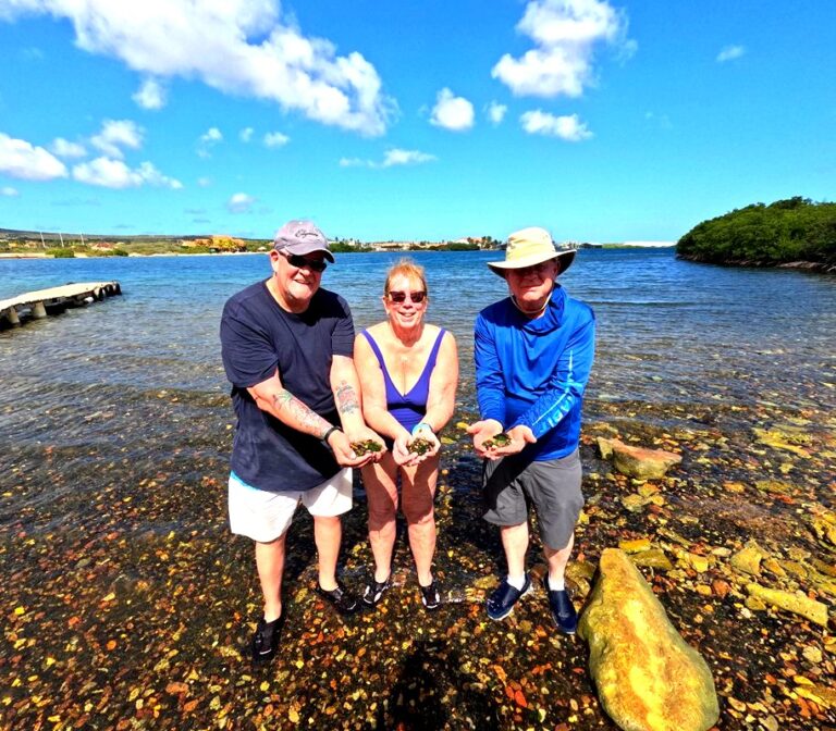 Sea Glass Island tours
