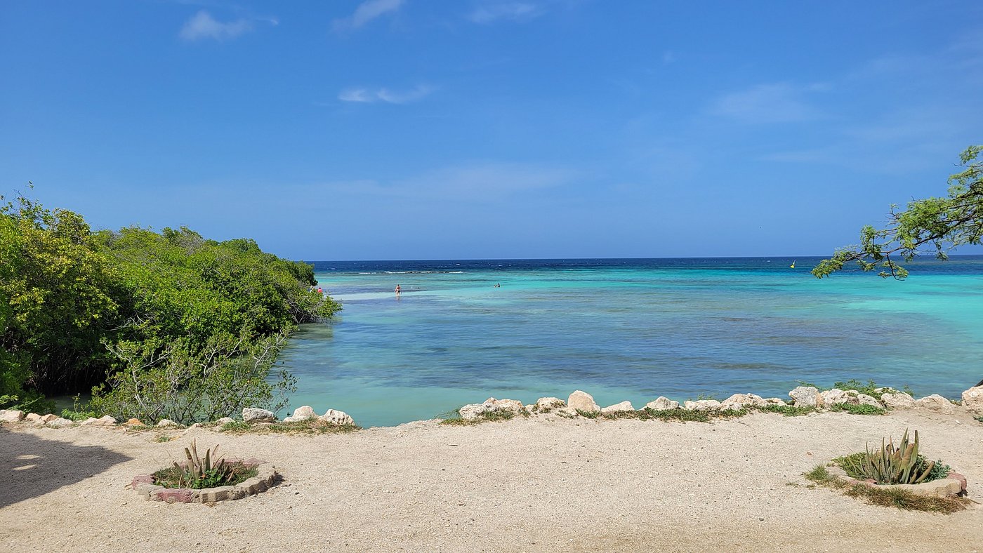 Scenic view of turquoise lagoon and mangroves at Mangel Halto Aruba