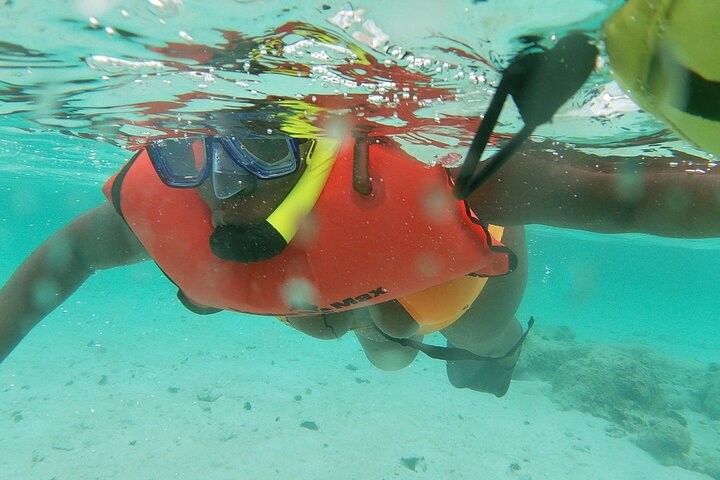 Snorkeler exploring coral reef underwater in Aruba