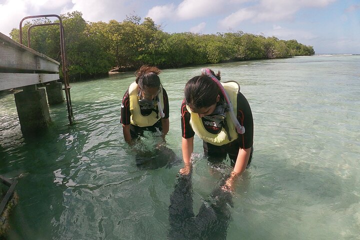 Group putting on snorkel gear before entering the water
