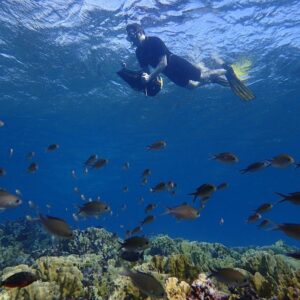A diver in black gear using an underwater scooter, swimming above a vibrant coral reef with many small fish.
