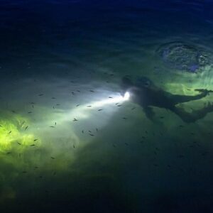 Diver exploring underwater with flashlight at night
