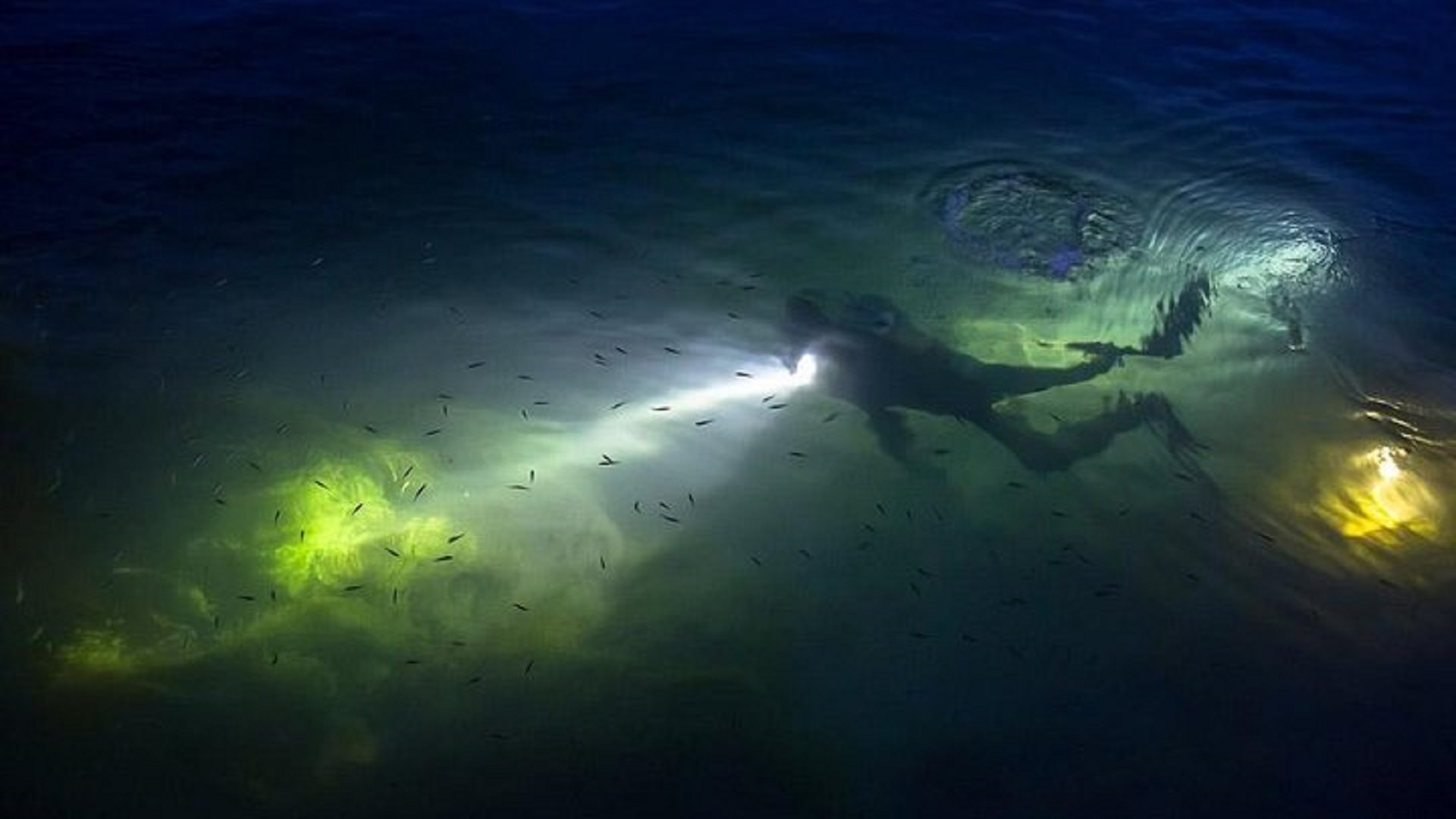 Diver exploring underwater with flashlight at night