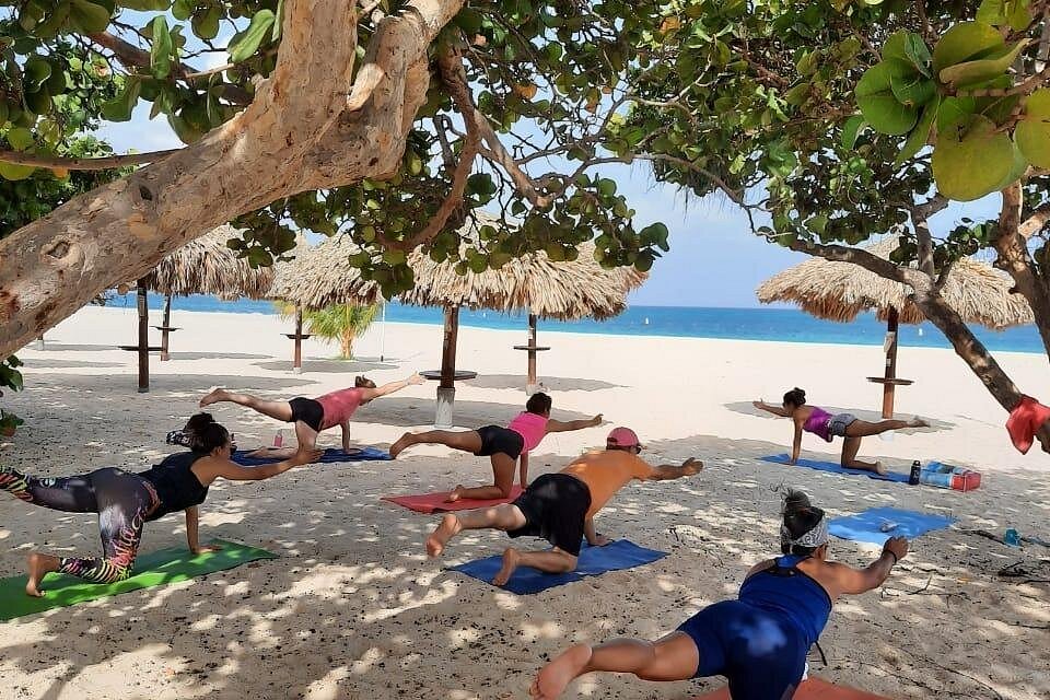 A group of people practicing a balancing variation of Table Pose (Bharmanasana) during Beach Yoga under the shade of trees. All levels welcome to this outdoor class.