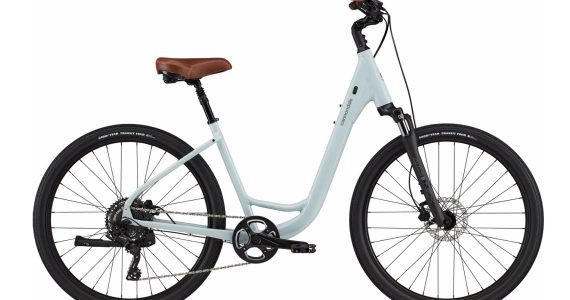 AAV_activity_manuel-images-7