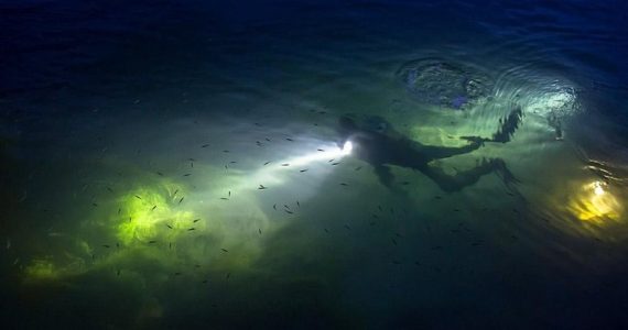 Diver exploring underwater with flashlight at night