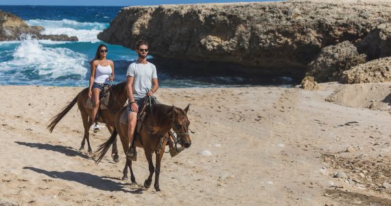 Private morning horse tour