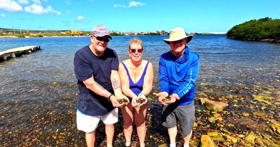 Sea Glass Island tours